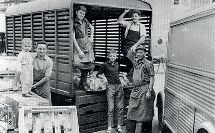 <p>Marché de Châteauneuf-sur-Sarthe</p>